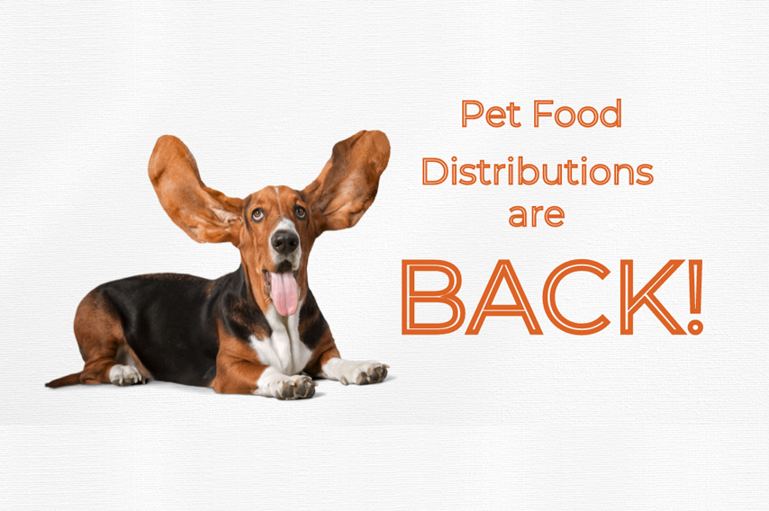 Pet Food Distributions - September